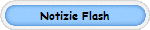 Notizie Flash
