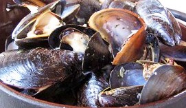 cozze