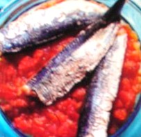 sardine